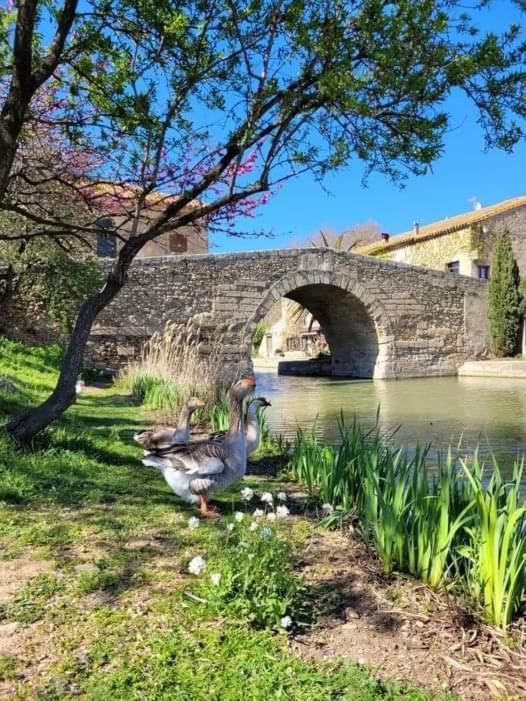 Au Canalet - Le Somail Exterior foto